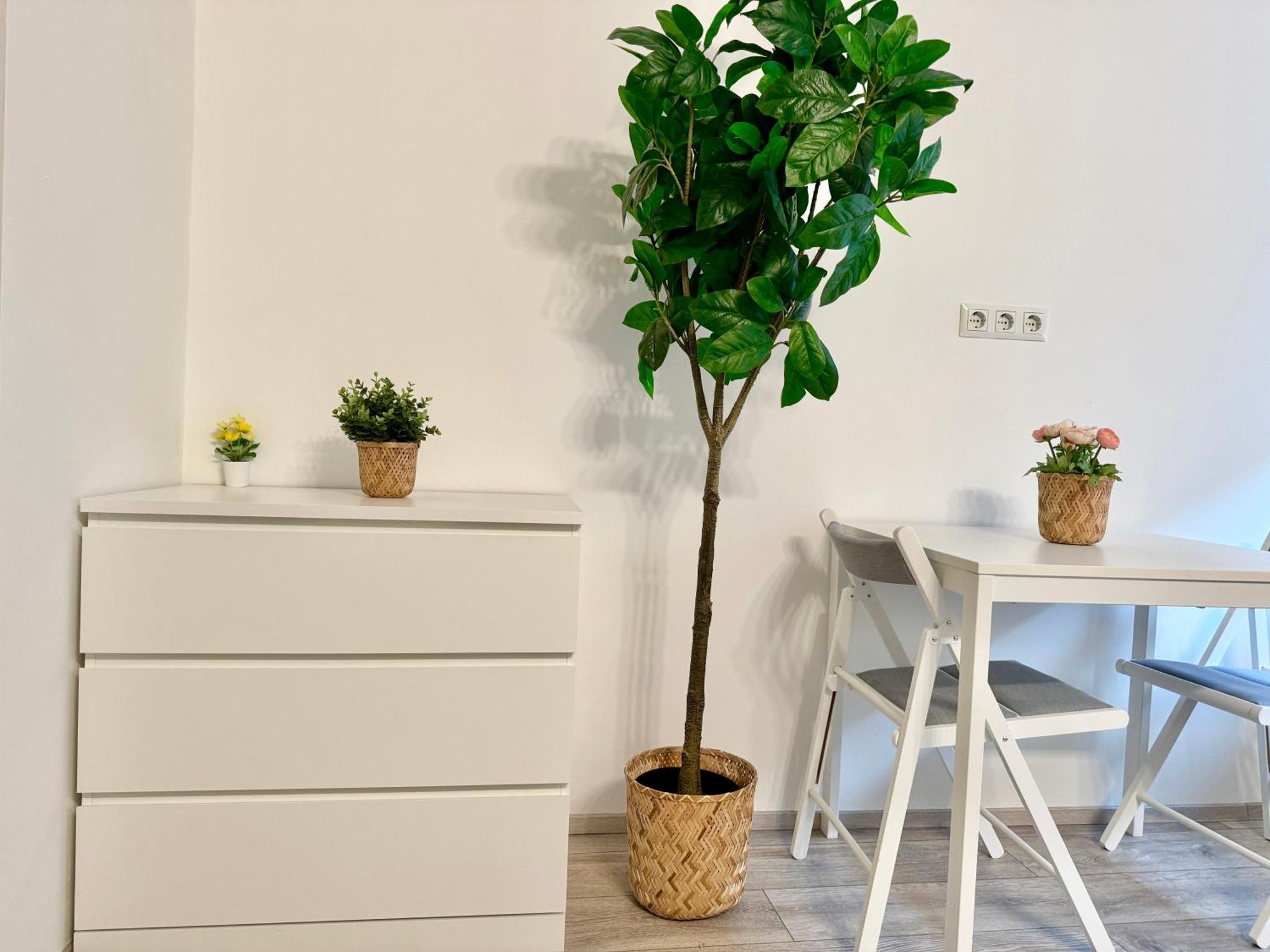 Stylish Schonbrunn Apartments With Free Parking Vienne Extérieur photo